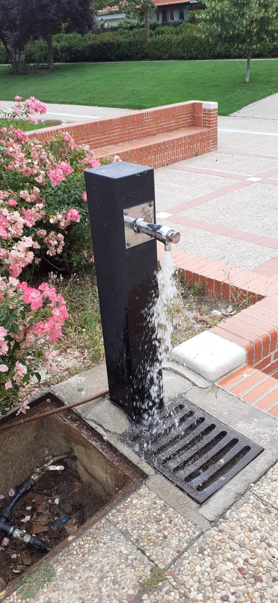 Fuentes de agua públicas.
